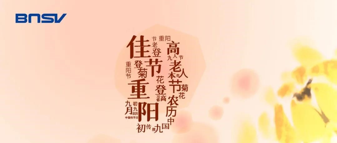 6374206282064062976865678.jpg undefined